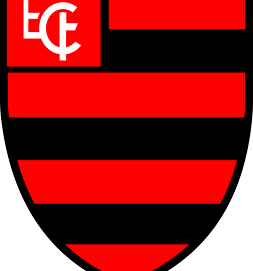 Flamengo-PI já pagou R$ 200 mil em dívidas, segundo presidente